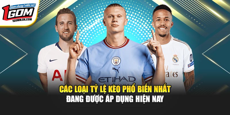 Các loại tỷ lệ kèo phổ biến nhất đang được áp dụng hiện nay