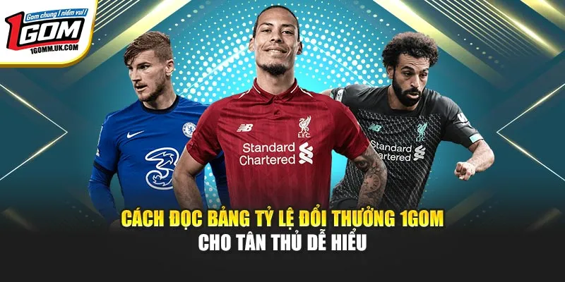 Cách đọc bảng tỷ lệ đổi thưởng 1gom cho tân thủ dễ hiểu