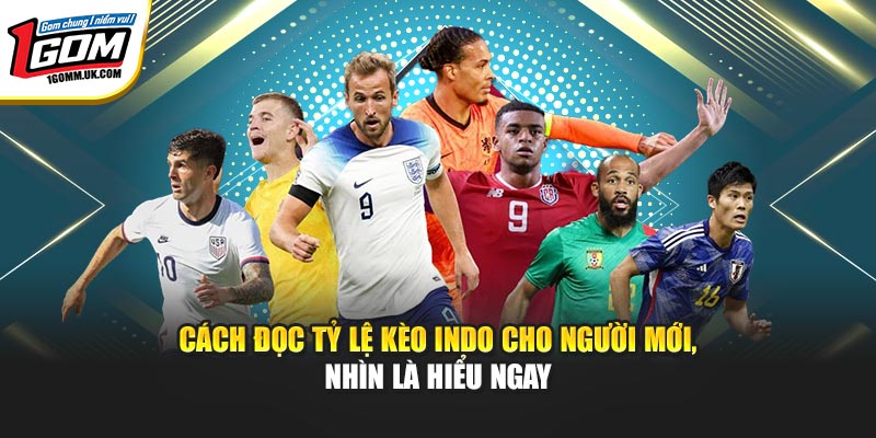 Cách đọc tỷ lệ kèo Indo cho người mới, nhìn là hiểu ngay