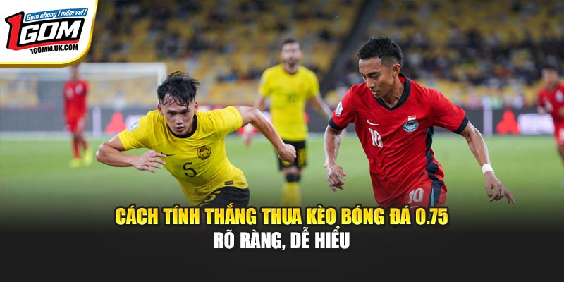 Cách tính thắng thua kèo bóng đá 0.75 rõ ràng, dễ hiểu