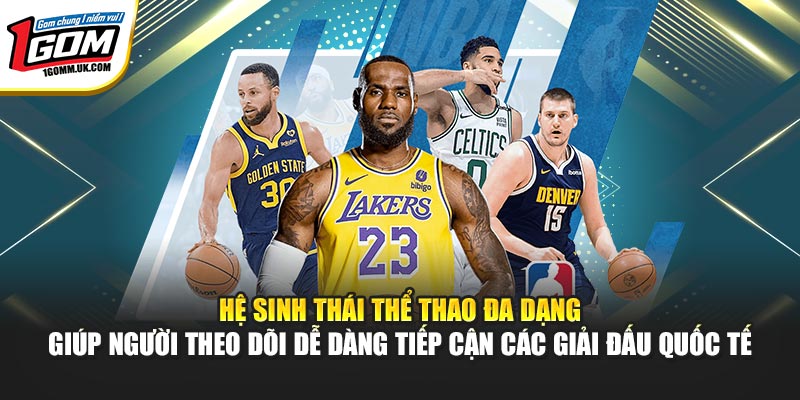 Hệ sinh thái thể thao đa dạng giúp người theo dõi dễ dàng tiếp cận các giải đấu quốc tế
