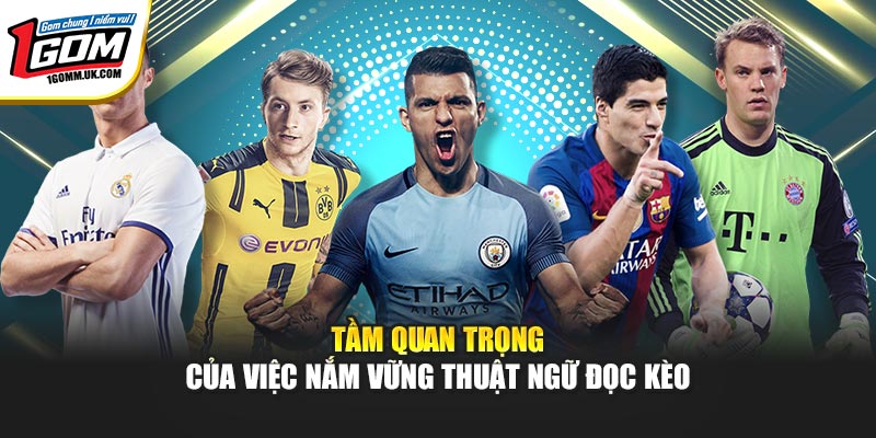 Tầm quan trọng của việc nắm vững thuật ngữ đọc kèo