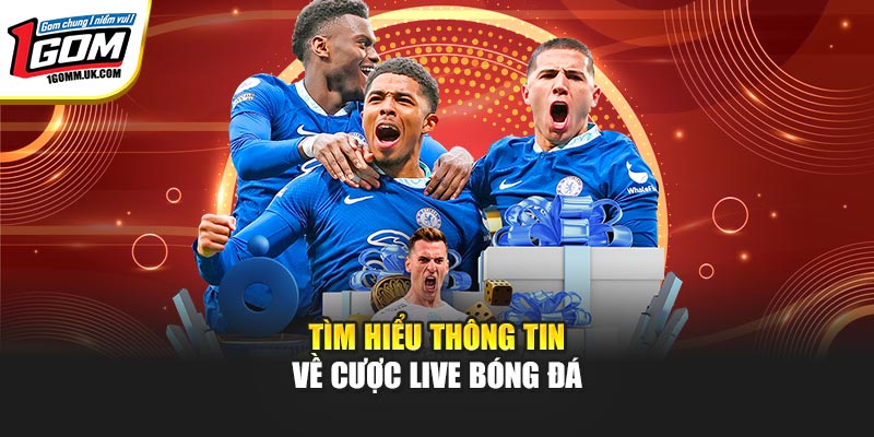 Tìm hiểu thông tin về cược live bóng đá